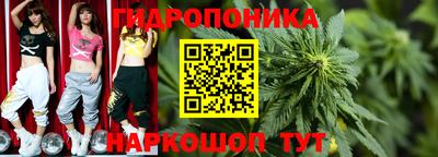 СК Лесосибирск