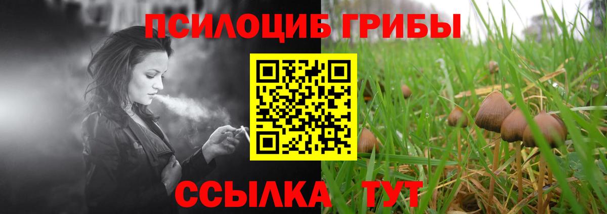 Псилоцибиновые грибы MAGIC MUSHROOMS Краснокамск